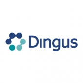 Dingus